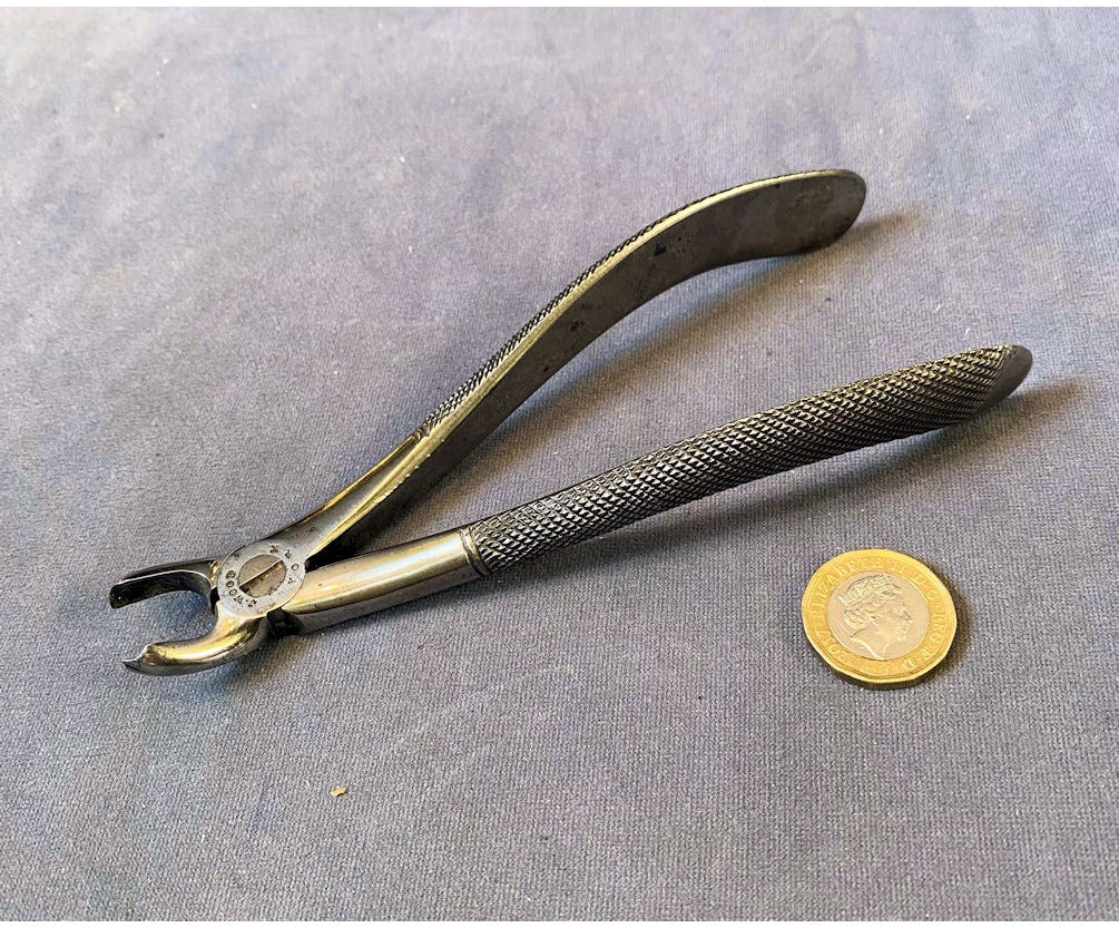 Pair of Dental Forceps — view 2