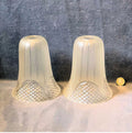 Pair of Frosted Cut Glass Lamp Shades — Glass, 1920's