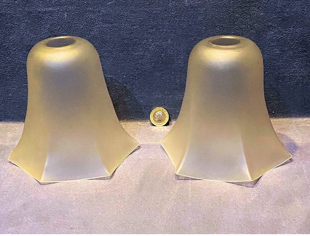 Pair of Frosted Glass Lamp Shades — Glass, 1920's