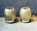 Pair of Frosted Glass Light Shades — Glass, late 19th century