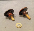 Pair of Mahogany Drawer Knobs — Mahogany, late 19th century