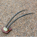 Pair of Mounted Oryx Horns — Horn, 1920's
