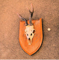 Pair of Mounted Roe Deer Prickets — Oak