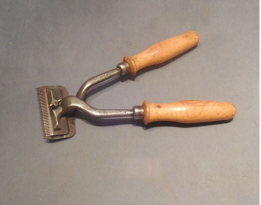 Pair of Sheep Shears — Iron, 1920's