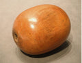 Plumbers Lignum Vitae Bobbin — circa 1900