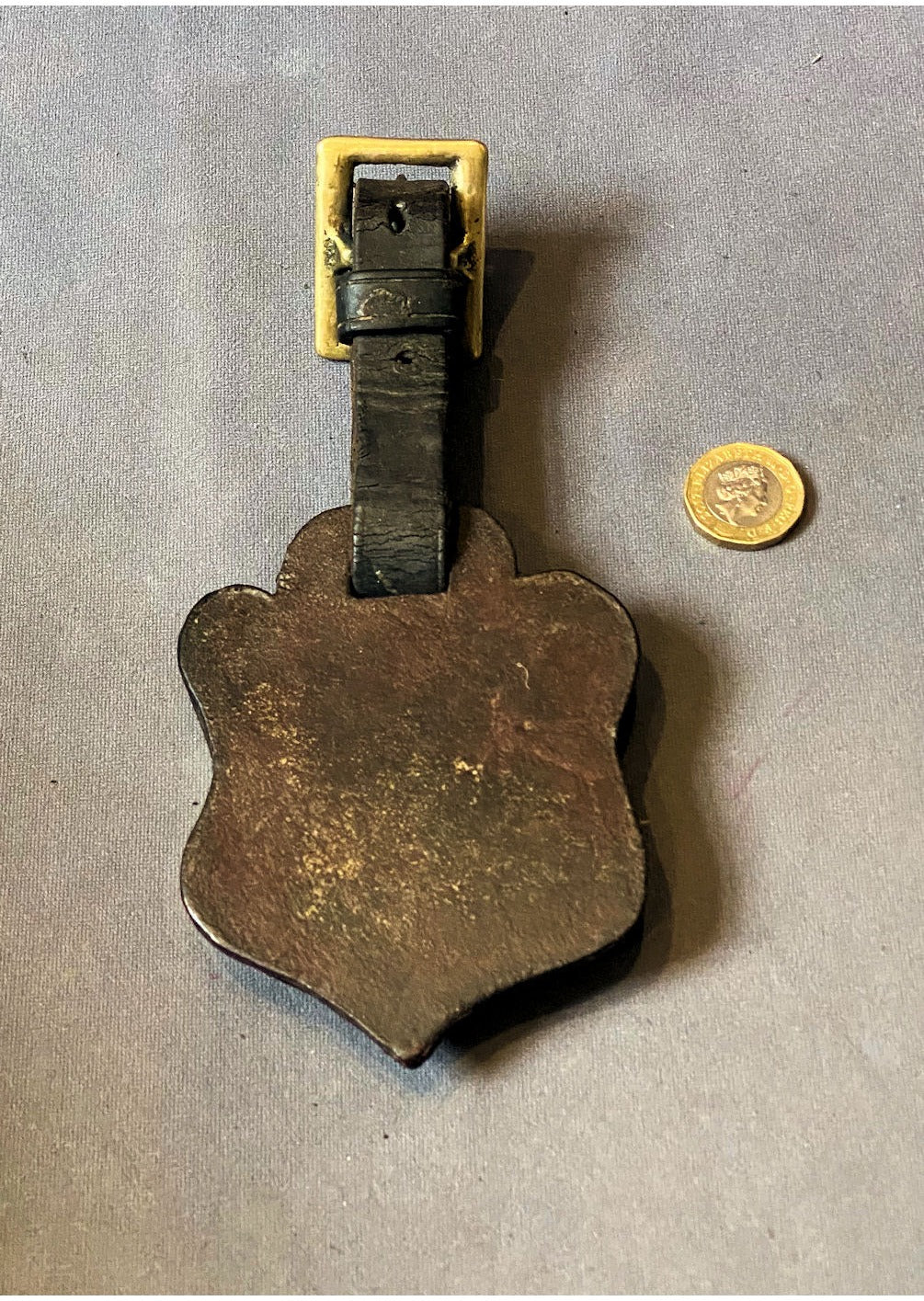 RSPCA 1927 Merit Badge — view 2