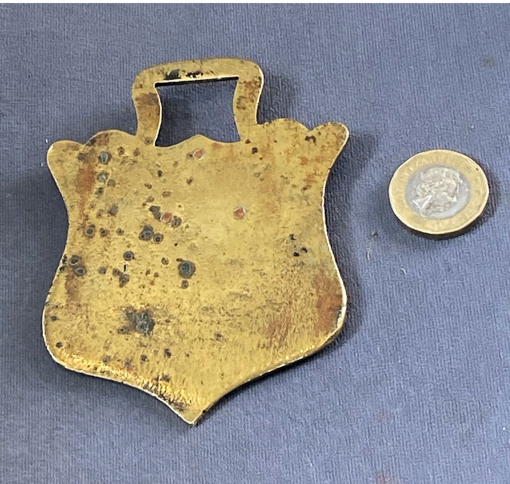 RSPCA Horse Brass 1930 — view 2