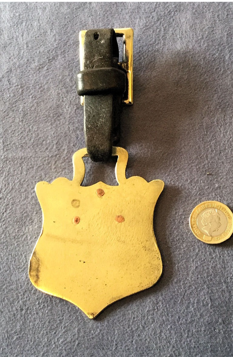 RSPCA Horse Brass 1933 — view 2
