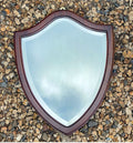 Shield Shaped Bevelled Mirror — Mahogany, late 19th century