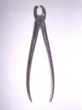 Steel Dental Forceps — Steel, 19th century