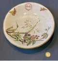 The International Marine Hydropathic Co Taza — late 19th century