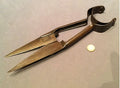 Ward No 110 Sheep Shears — Steel, late 19th century
